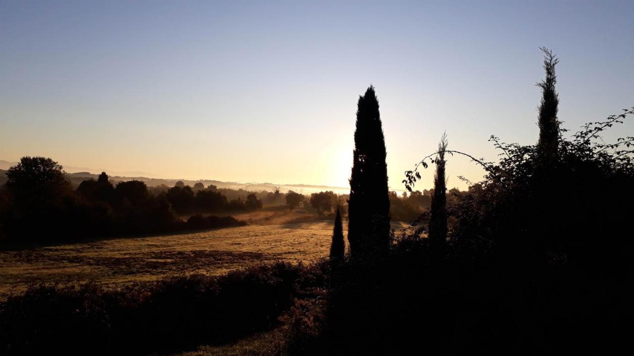Podere Pievina Delle Corti - Dimora Di Campagna Sinalunga Ngoại thất bức ảnh